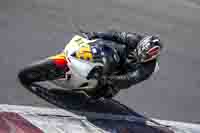 Middle Group White Bikes